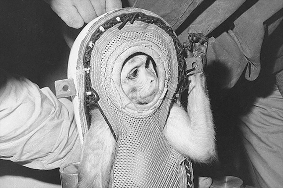 On this day: Jan. 21, 1960: Monkey launched into space