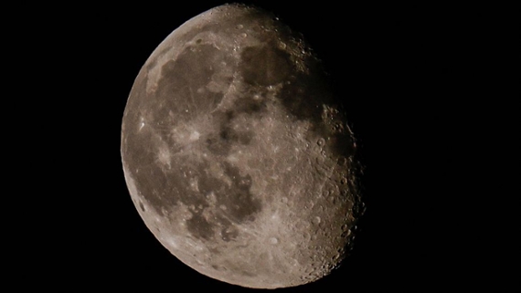 Moon dances with the bright star Regulus tonight