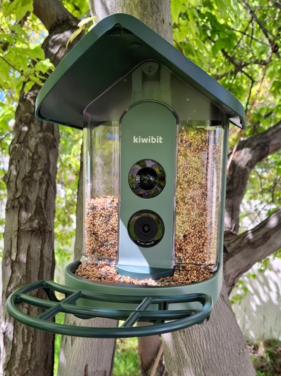 Review: Kiwibit Bird Feeder 2 4K AI Camera With Solar Panel