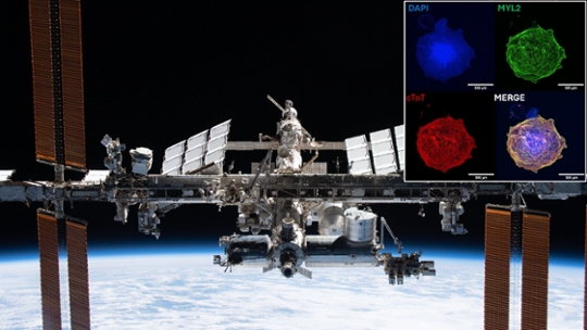 Space.com
