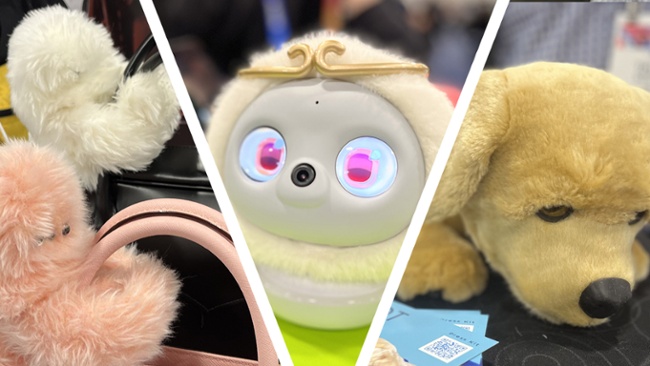 The weirdest robots of CES 2025