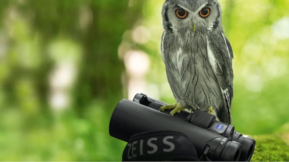Zeiss binoculars deals: Discounts on top-rated models right now