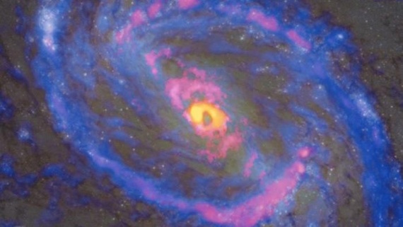 'Squid Galaxy' shows black holes dictate galactic chemistry