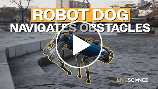 Robot dog can navigate obstacles thanks to new AI training technique