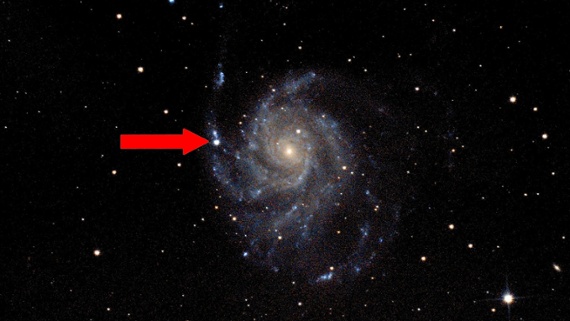 How to see the new supernova in the Pinwheel Galaxy