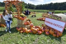 Reese's sets up its own candy pumpkin patch