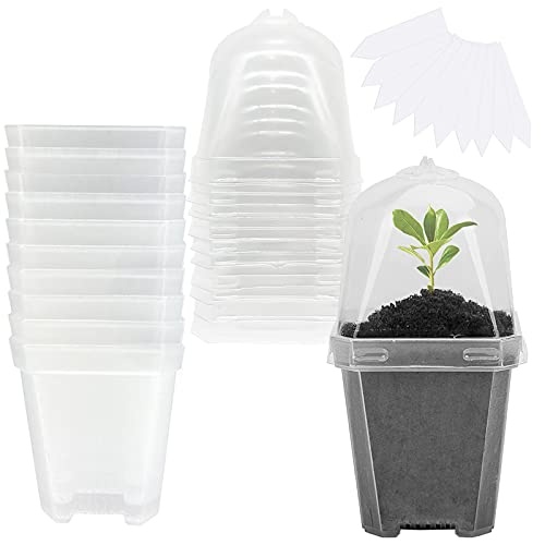 Nursery Pots with Humidity Dome, view at Amazon