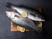 Fresh fish seabass and ingredients lemon and rosemary