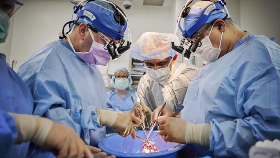 2 pig hearts were successfully transplanted into brain-dead human patients