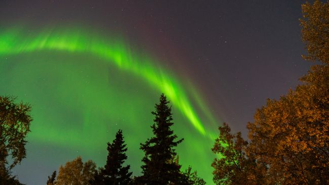 Aurora alert for northern lights down to New York tonight