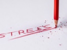 Survey: 78% of teachers battle job-related stress