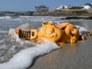 Why novelty Garfield phones are washing up on French beaches