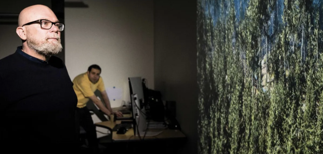 Immersive Education: Check Out This Digital Twin of Oregon's Elliot State Forest