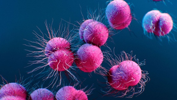 New 'concerning' strain of drug-resistant gonorrhea found in U.S. for 1st time