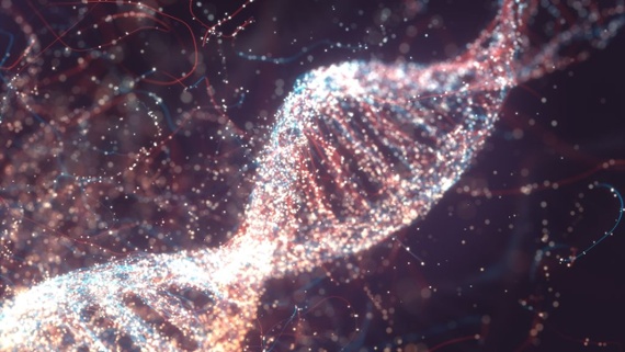 1st 'gapless' human genome finally sequenced