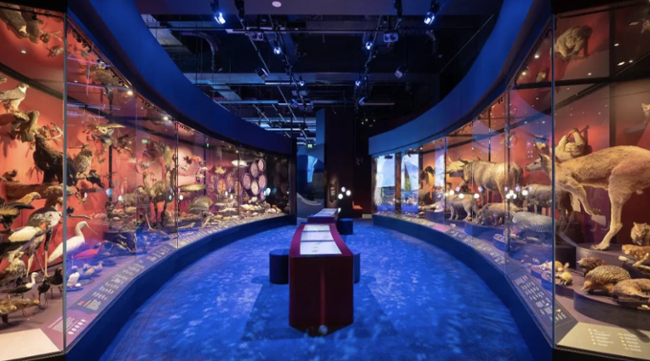 4 BILLION Years of History Comes to Life with the Help of Audio