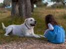 Want your dog to understand you? Speak slowly