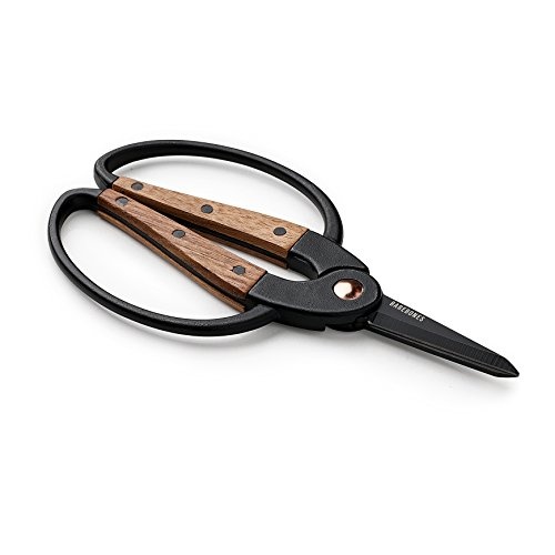 Walnut Plant Scissors, Amazon