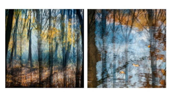 Photo-artist Charlotte Bellamy harnesses intentional camera movement for Light & Land exhibition