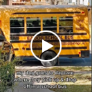 School bus repurposed as doggy day care transport