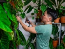 How indoor gardening can be a wellness activity