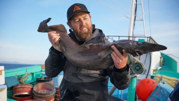 What Happens On Shark Week If They Can't Find Any Sharks? Returning Host Forrest Galante Opens Up About The 'Pressure To Perform'