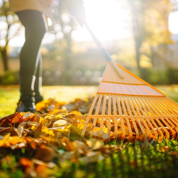 12 Ways to get your yard ready now for winter