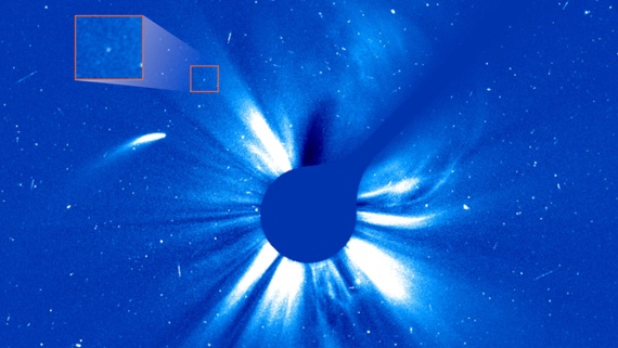 Massive comet hurtling past the sun is chasing its tail