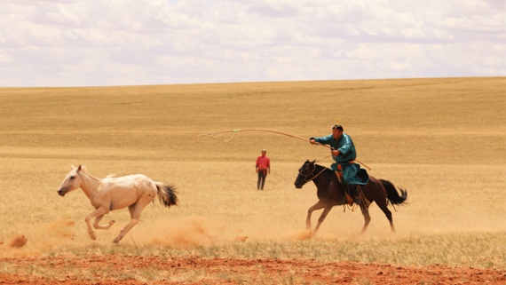 Humans didn't domesticate horses until 4,200 years ago &mdash; a millennium later than thought