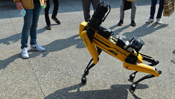 Robot dogs. We need more robot dogs.