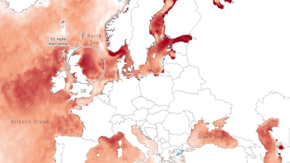 Satellites observe record-breaking marine heatwave