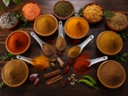 A selection of herbs and spices including Red and Green Chilli Turmeric Cumin Garam Masala making for savory cuisine