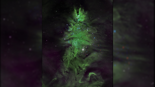 Space telescopes give Christmas Tree Cluster a makeover