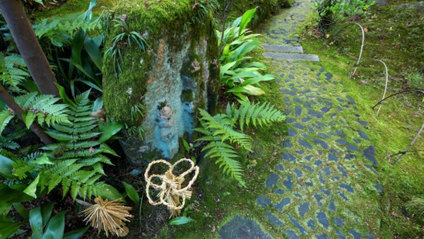 7 enchanting fairy garden ideas – to bring a touch of magic to your backyard