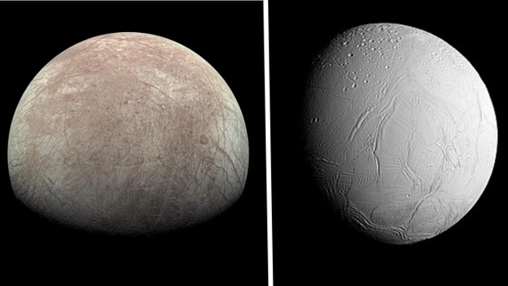 Signs of life could survive on moons Enceladus and Europa