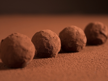 chocolate truffles on cacao powder