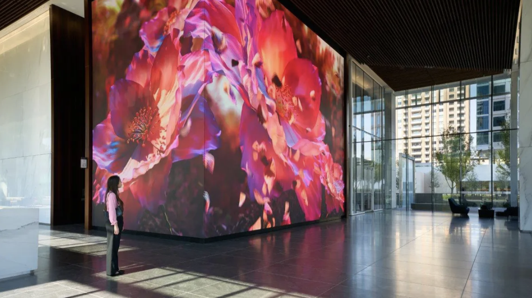 Video Case Study: A Massive Planar Video Wall Provides Wow Factor at 23Springs