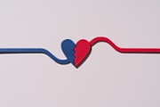 A papercraft image of a red and blue heart connected to blood vessels.