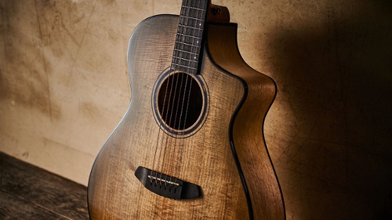 Breedlove Eco Pursuit EX S Concert Sweetgrass review