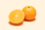 Orange and Cross Section on pastel Orange-Colored Background
