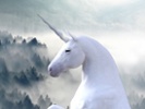 Adaptable employees are key for reaching unicorn status