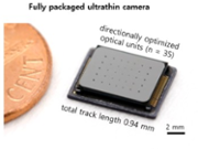 Bug vision tech could slim down phone cameras