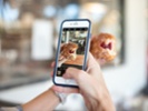 Chefs use Instagram feeds to feed their business