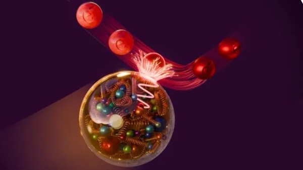 Quantum entanglement observed within individual protons