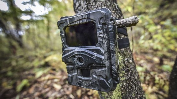 The best trail cameras