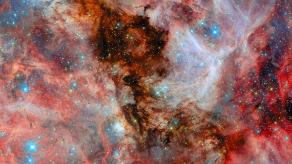 Our photo of the day: Hubble sees baby stars in LMC