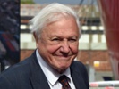 Sir David Attenborough breaks record with Instagram debut