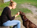 Study: Interaction can sync dog and human brain waves