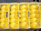 Why Peeps-flavored Pepsi is trending