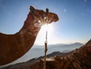 How do you judge a camel beauty competition?